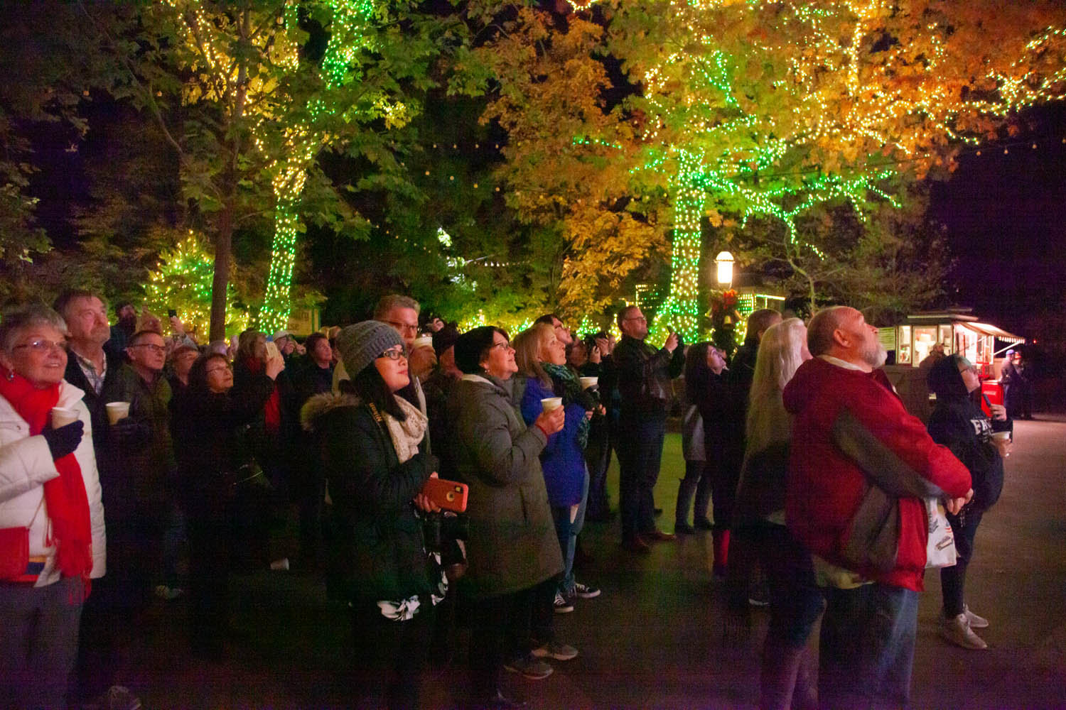 LIGHT THE TOWN SQUARE
Silver Dollar City officials light the new, eight-story Christmas tree for the first time publicly Nov. 1 during a media preview event. It kicked off the theme park’s Old Time Christmas season, which runs through Dec. 30. Silver Dollar City hired Atlanta-based S4 Lights to design the $1.5 million tree and light show throughout its Town Square. Officials say there are 6.5 million lights throughout the park during the season.